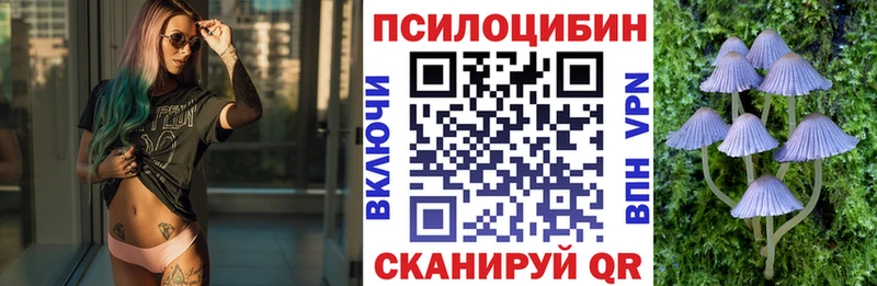 Псилоцибиновые грибы мицелий  Поронайск 